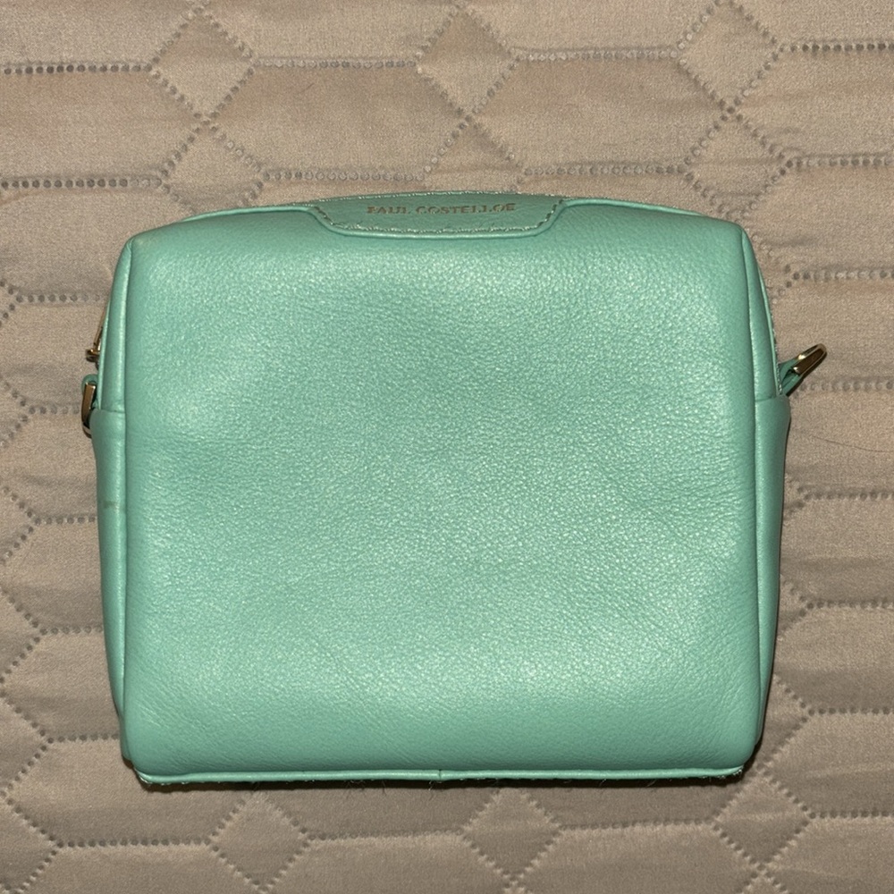🐬 {PRICE FIRM} Paul Costelloe MAYO Leather Crossbody Bag ~ Mint Green - Picture 4 of 9